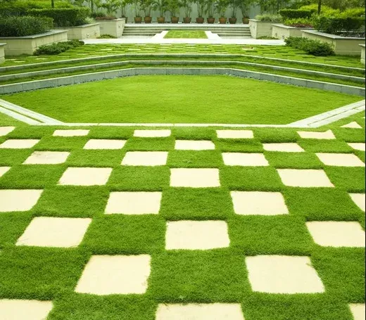 1-8-lb-zoysia-emerald-grass-seeds-lawn-landscaping-full-sun 1/8 Lb Zoysia Emerald Grass Seeds for Lawn & Landscaping, Full Sun