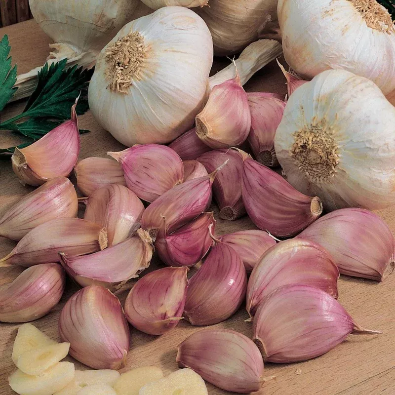 1-pound-french-mix-garlic-bulbs-ready-to-grow-culinary-use 1 Pound French Mix Garlic Bulbs – Ready to Grow, Culinary Use