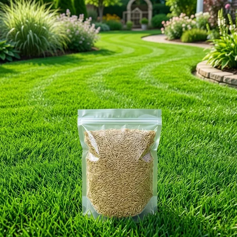 10-000-zenith-zoysia-grass-seeds-lawn-ornamental-lawngrass 10,000 Zenith Zoysia Grass Seeds for Lawn, Ornamental Lawngrass