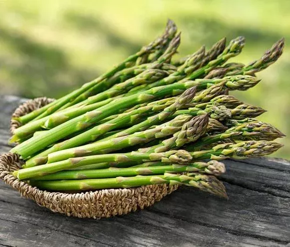 10-jersey-supreme-asparagus-bare-roots-planting-high-yield-outdoor 10 Jersey Supreme Asparagus Bare Roots for Planting – High Yield Outdoor