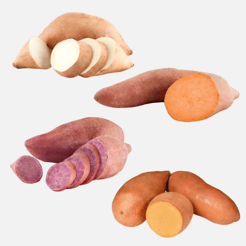 10-mixed-variety-sweet-potato-plants-live-yam-plants-planting 10 Mixed Variety Sweet Potato Plants – Live Yam Plants for Planting