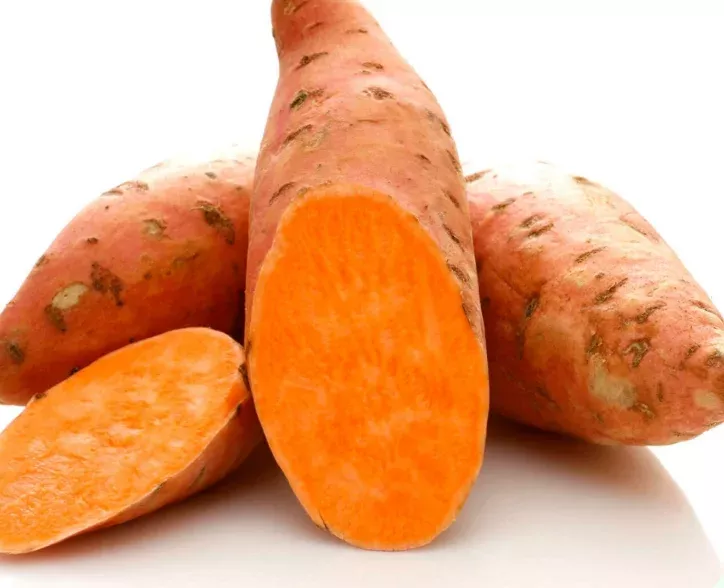 10-sweet-potato-slips-hernandez-vining-type-edible-live-plants-3-6-inch-tall 10 Sweet Potato Slips – Hernandez Vining Type – Edible Live Plants 3-6 Inch Tall