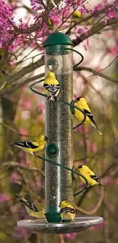17-in-green-spiral-sunflower-feeder 17 in. Green Spiral Sunflower Feeder