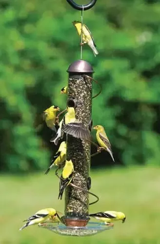 17in-copper-spiral-sunflower-feeder 17in. Copper Spiral Sunflower Feeder