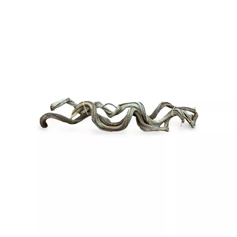 18-22-natural-twisted-vine 18-22″ NATURAL TWISTED VINE