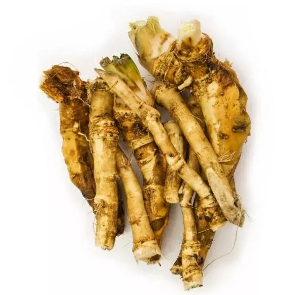 2-horseradish-bare-roots-hardy-perennial-plant-outdoor-garden 2 Horseradish Bare Roots – Hardy Perennial Plant for Outdoor Garden
