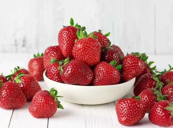 20 Honeoye Strawberry Bare Roots Live for Planting – June-bearing, Outdoor