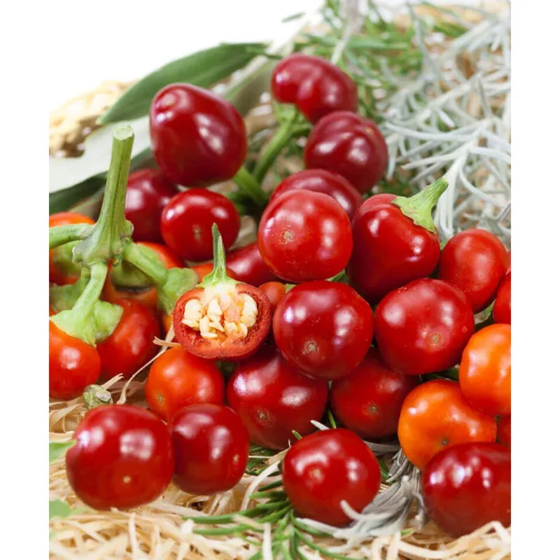 25-heirloom-red-hot-cherry-pepper-seeds-easy-grow-vegetable-garden 25 Heirloom Red Hot Cherry Pepper Seeds – Easy Grow Vegetable Garden