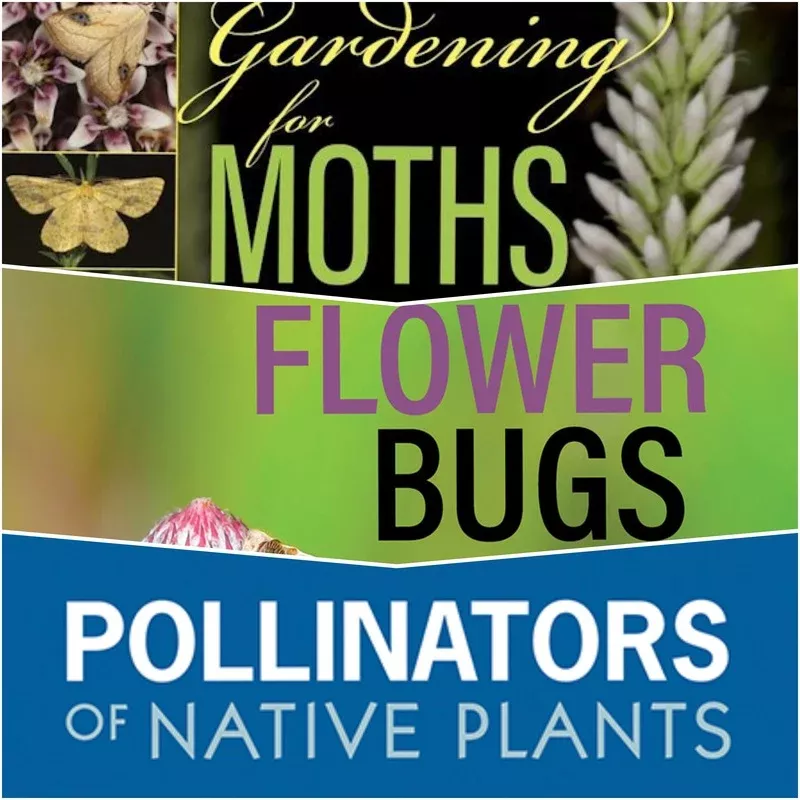 3-bug-book-bundle 3 Bug Book Bundle
