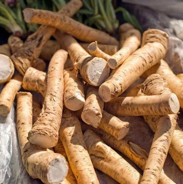 3-horseradish-bare-roots-planting-hardy-perennial-vegetable 3 Horseradish Bare Roots for Planting – Hardy Perennial Vegetable