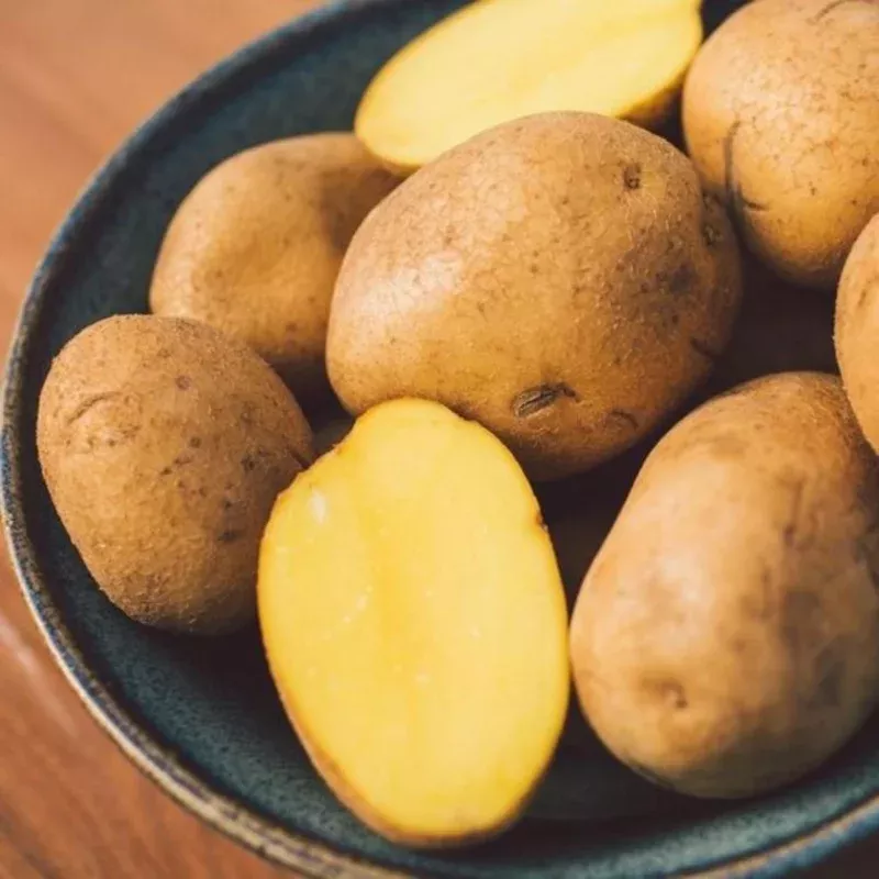 4-french-yellow-potato-plants-creamy-versatile-vegetables 4 French Yellow Potato Plants – Creamy & Versatile Vegetables