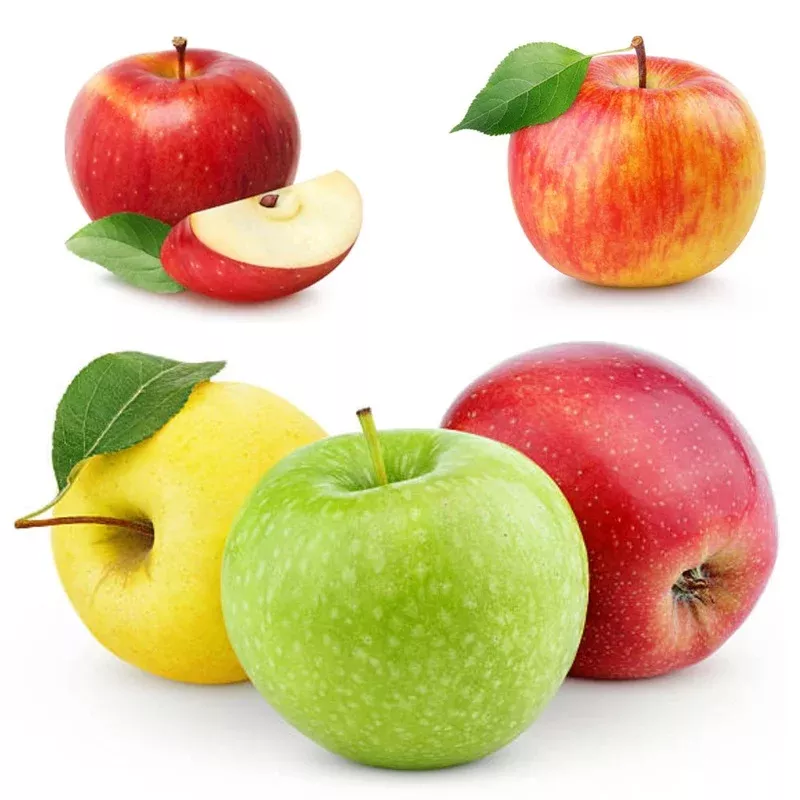 5-In-1 Apple Tree