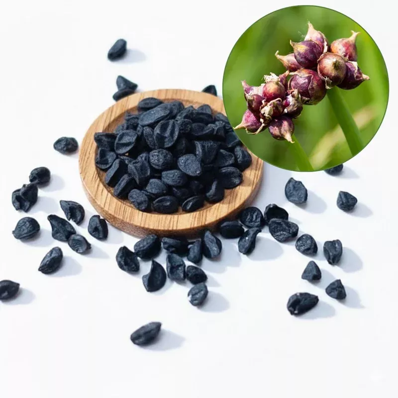 50-egyptian-walking-onion-seeds-perennial-outdoor-planting 50 Egyptian Walking Onion Seeds – Perennial Outdoor Planting
