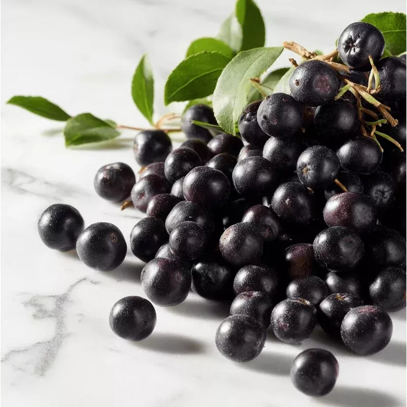 50-garden-huckleberry-seeds-black-huckleberry-outdoor-planting 50 Garden Huckleberry Seeds – Black Huckleberry for Outdoor Planting
