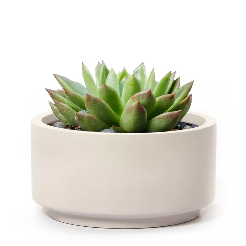 7-inch-gray-cream-fiberstone-ceramic-pot 7 inch Gray Cream Fiberstone Ceramic Pot