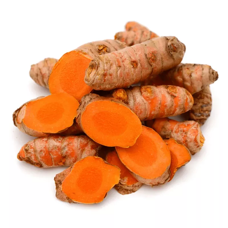 8-fresh-turmeric-root-rhizomes-curcuma-longa-live-tubers-planting 8 Fresh Turmeric Root Rhizomes – Curcuma Longa Live Tubers for Planting