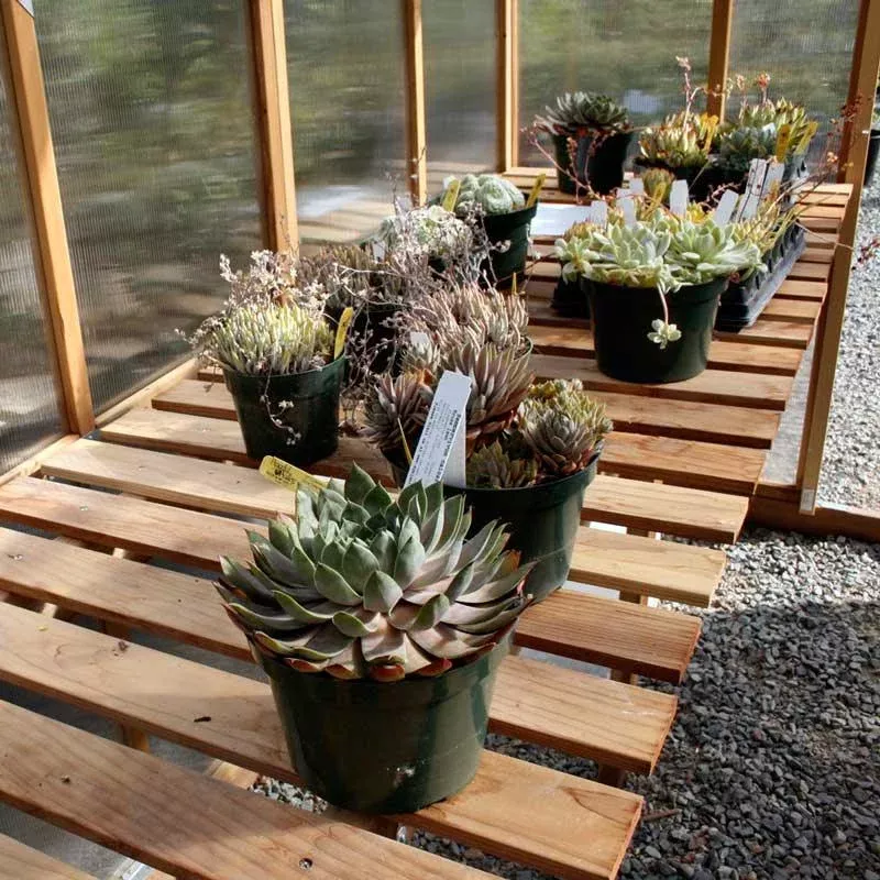 8′ X 16′ Greenhouse – Bench Kit (1 Bench)