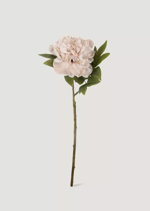 Abigail Ahern Beige Blush Artificial Peony Flower – 17.5″