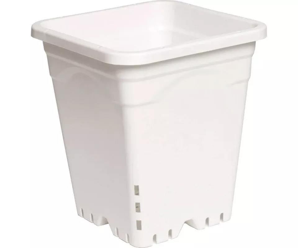 active-aqua-square-plastic-pot-white-9-x-9-x-10-case-24-cs Active Aqua Square Plastic Pot White 9" X 9" X 10" CASE 24/Cs
