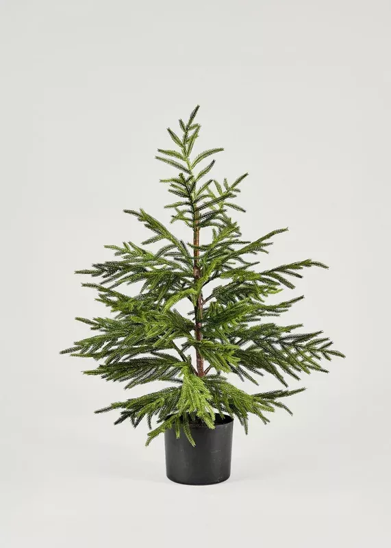 Afloral™ Artificial Norfolk Pine Tree – 36″