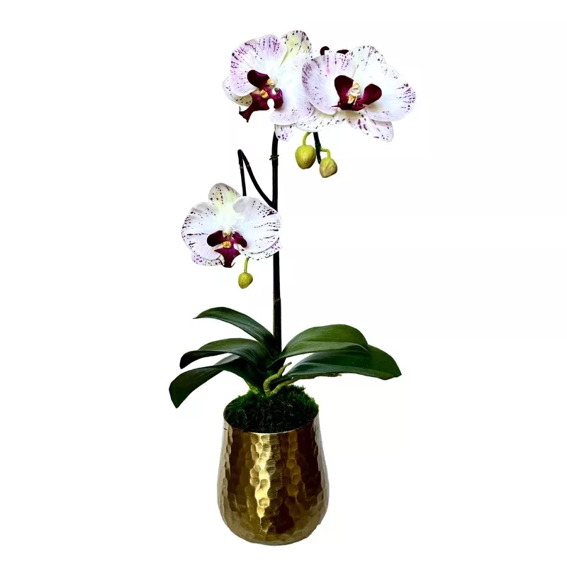 [HUXS-OROC2] Gold Metal Hammered Vase Small – Artificial Orchid White/Purple