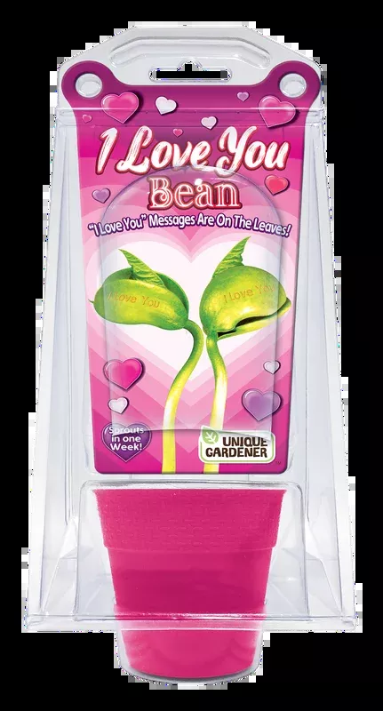 "I Love You" Bean Terrarium