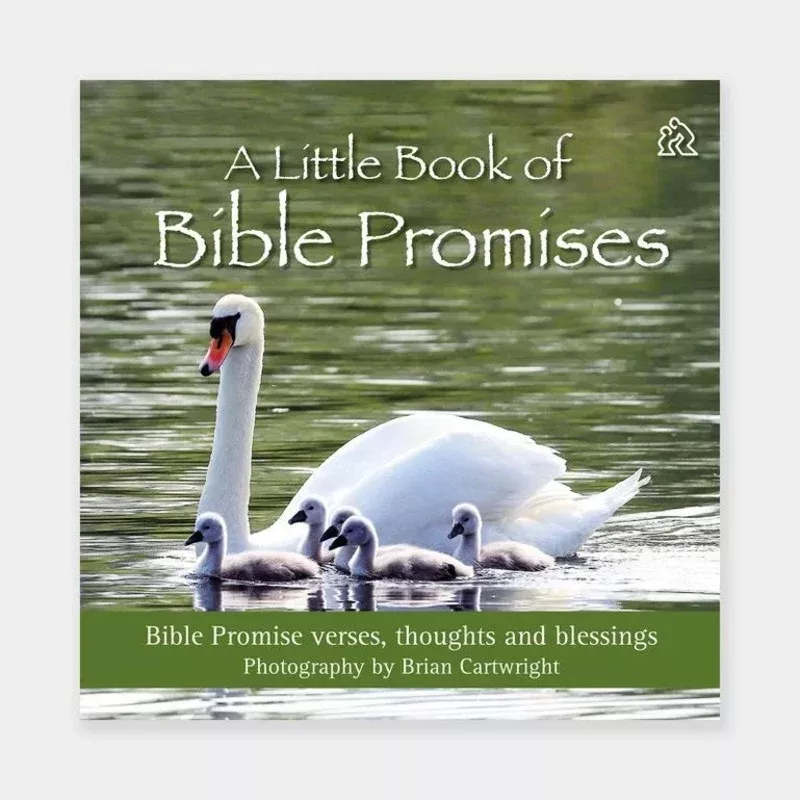 A Little Book of Bible Promises