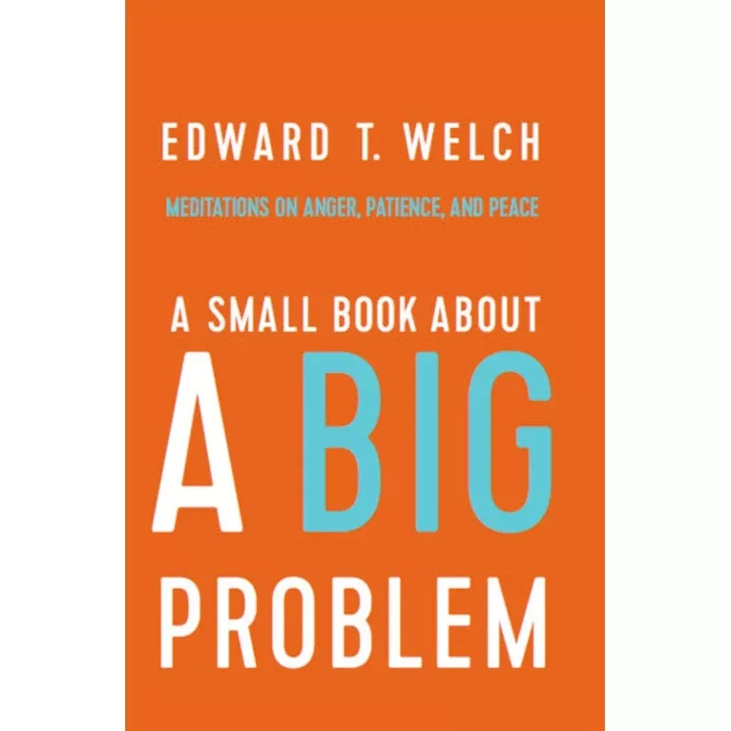 A Small Book about a Big Problem: Meditations on Anger Patience and Peace