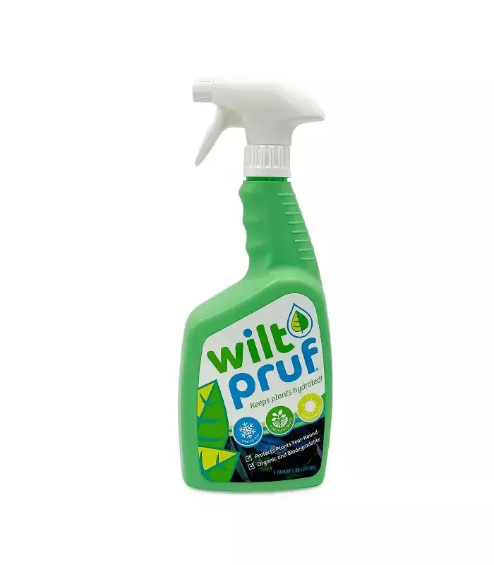 wilt-pruf-plant-protector-1-quart-ready-to-use-spray Wilt-Pruf Plant Protector, 1 Quart Ready-to-Use Spray