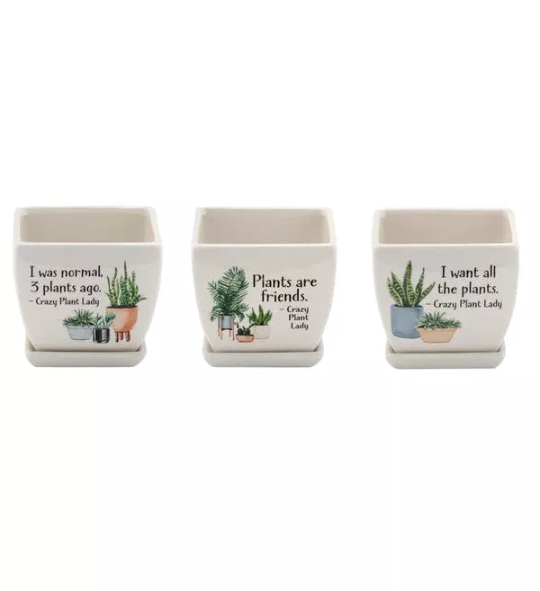 witty-square-planter-4in Witty Square Planter 4In