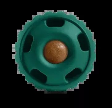WOOF The Pupsicle Refillable Dog Toy, Green