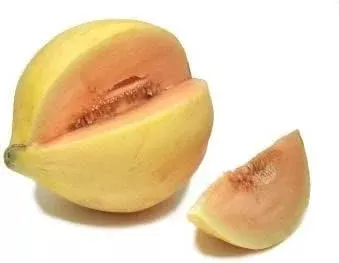 yellow-cucumis-melo-fruit-seeds-planting Yellow Cucumis Melo Fruit Seeds Planting