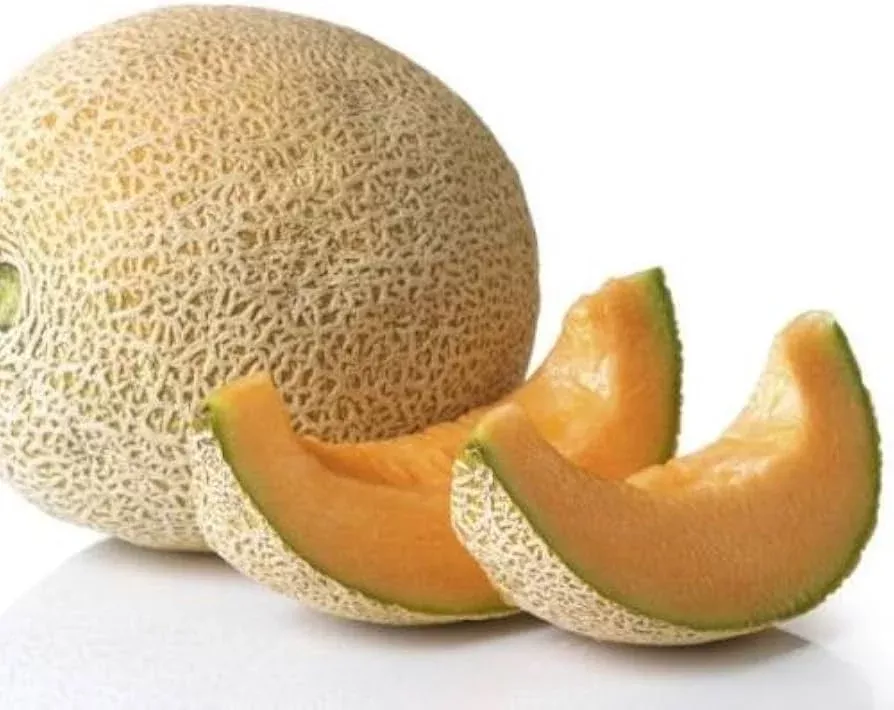 yellow-galia-melon-vegetable-seeds-planting-sweet Yellow Galia Melon Vegetable Seeds Planting Sweet
