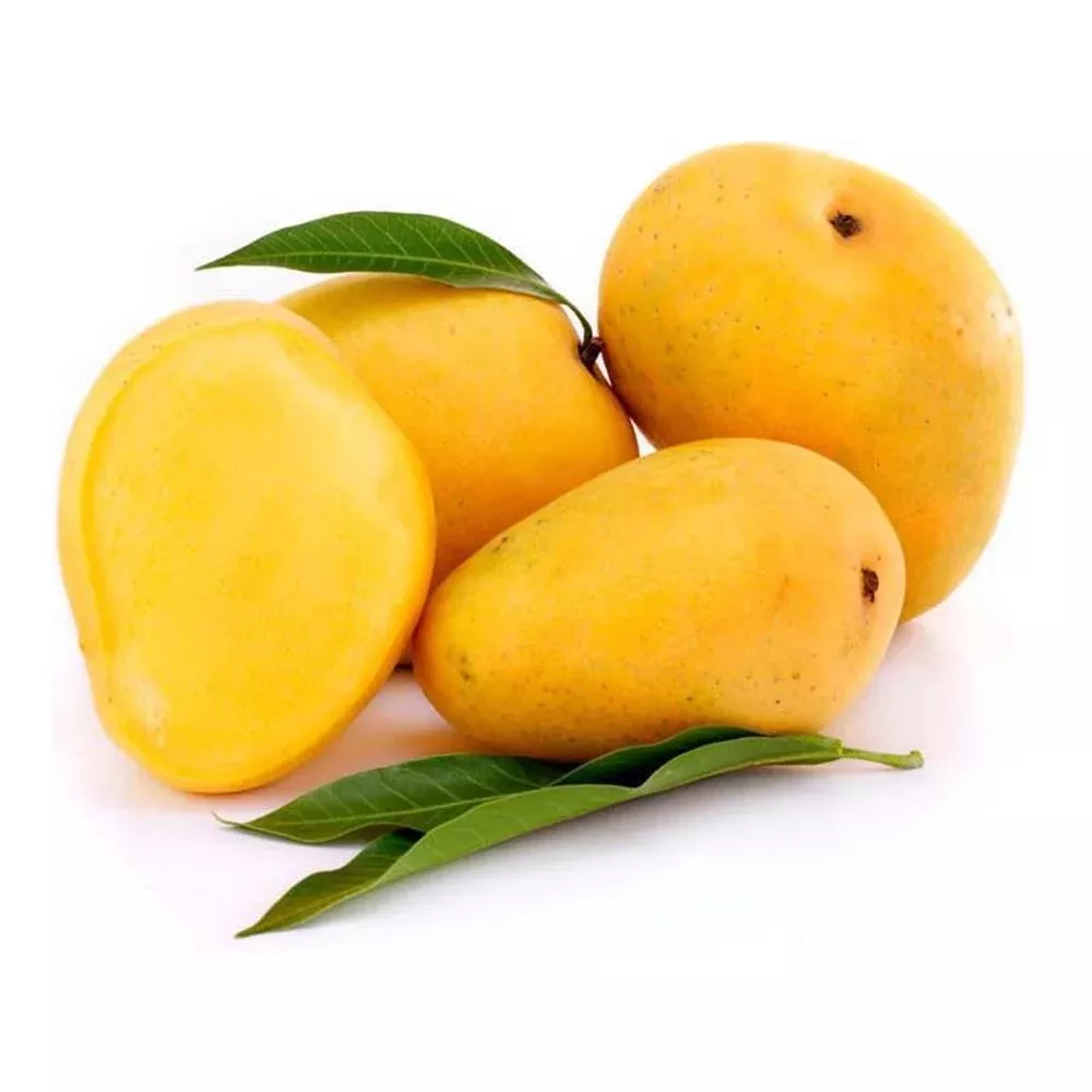 Yellow Mango Seeds for Planting