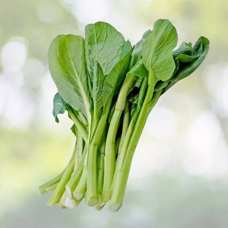 Yu Choy Sum Seeds - 100+ Organic Jung Green Vegetable Seeds for Outdoor Planting - Brassica rapa var. chinensis