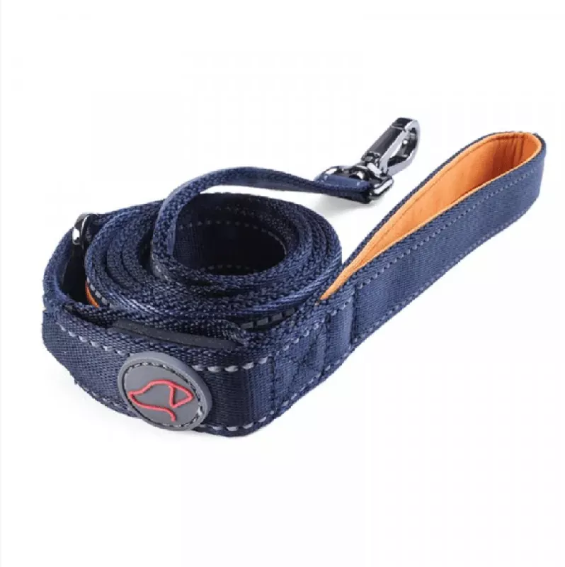 zoon-flash-go-led-dog-lead Zoon Flash & Go LED Dog Lead