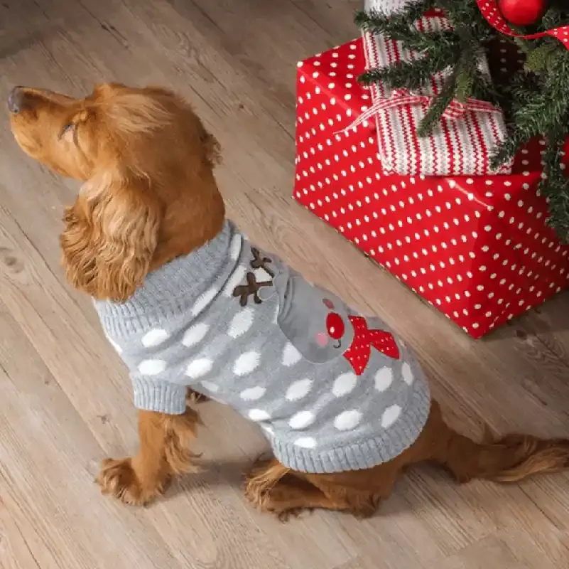 zoon-polka-rudolph-dog-jumper Zoon Polka Rudolph Dog Jumper