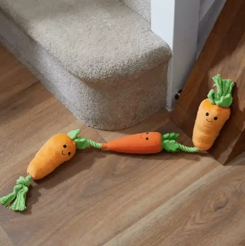 zoon-tugga-carrots-dog-toy Zoon Tugga Carrots Dog Toy