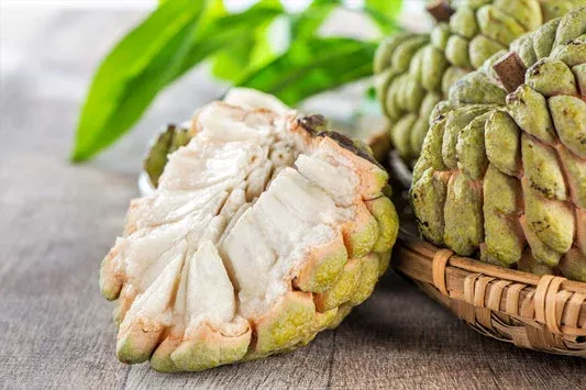 zuckerapfel-s-apfel-rahmapfel-annona-squamosa-essbare-obstbaum-samen Zuckerapfel (Süßapfel / Rahmapfel) Annona squamosa Essbare Obstbaum-Samen
